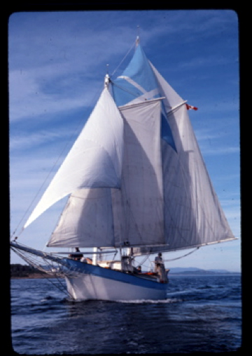 Picture of the Peregrine, Ean’s hand built Ferro-cement hull schooner