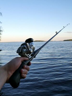 Hand holding fishing rod