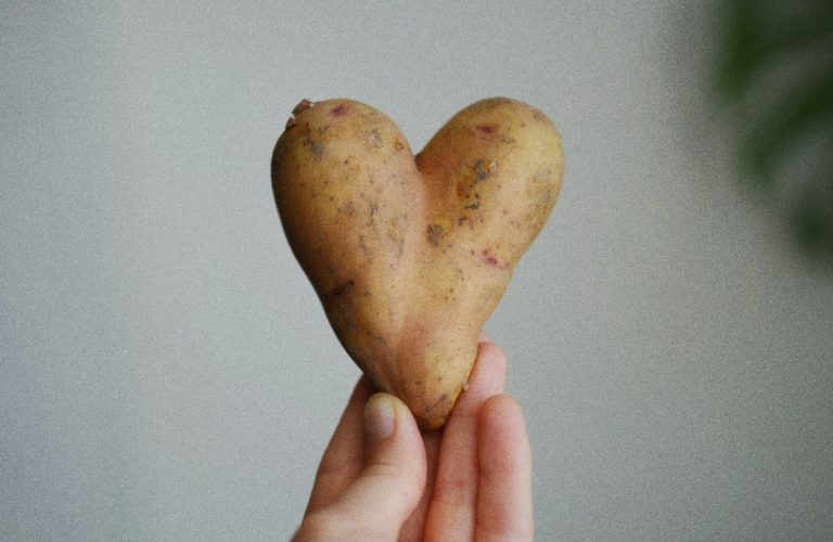 Heart-shaped potato in a person's hand