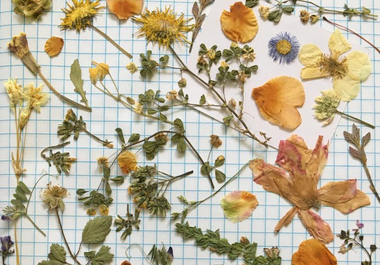 Dried flowers and leaves